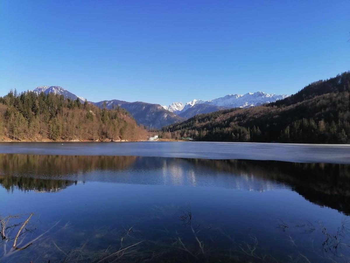 Bio-Bauernhof "Hecherhof" Thiersee Exterior foto